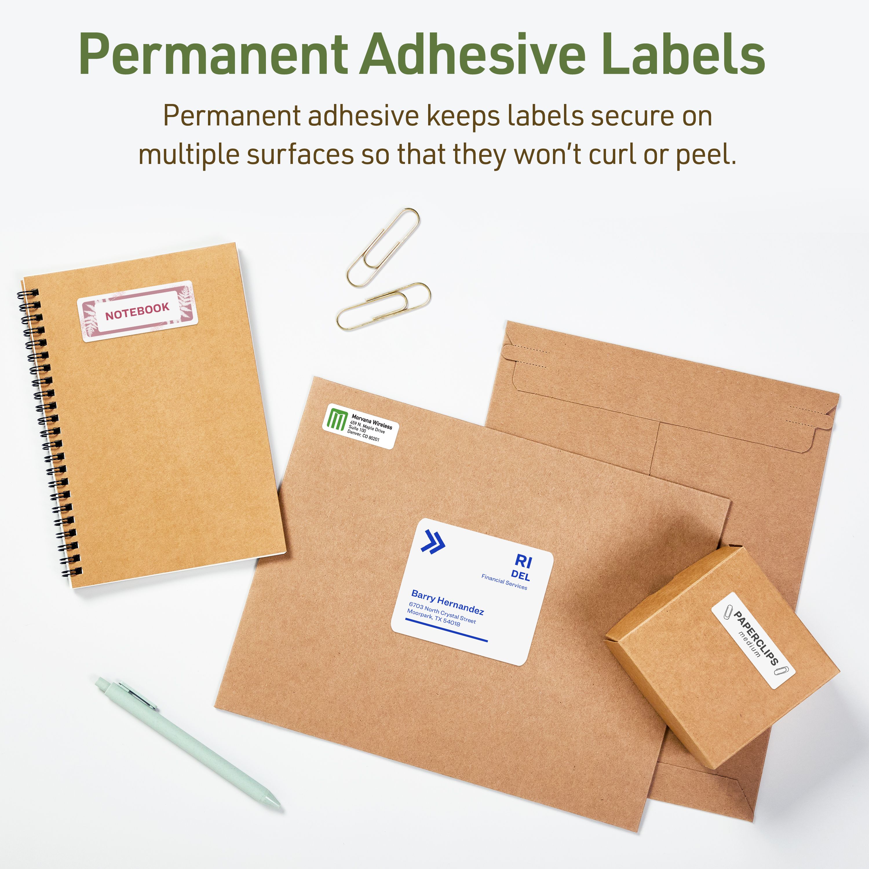 EcoFriendly Address Labels, 2/3